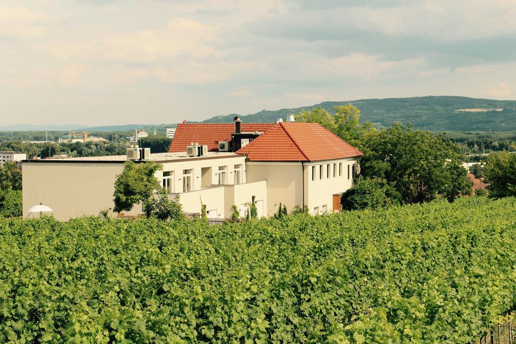 Weingut Hutter