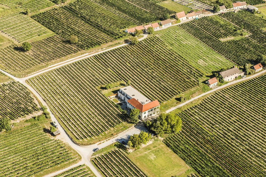 Weingut Hutter