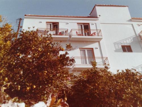 Belvedere