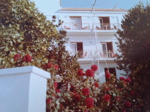 Belvedere