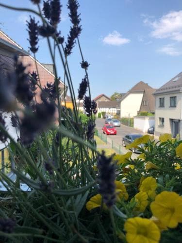 Apartment Cologne