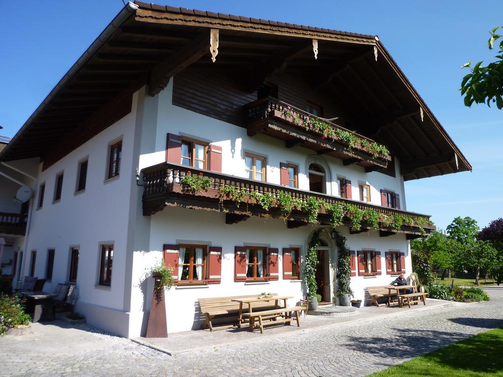 Donebauer