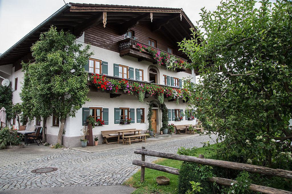 Donebauer