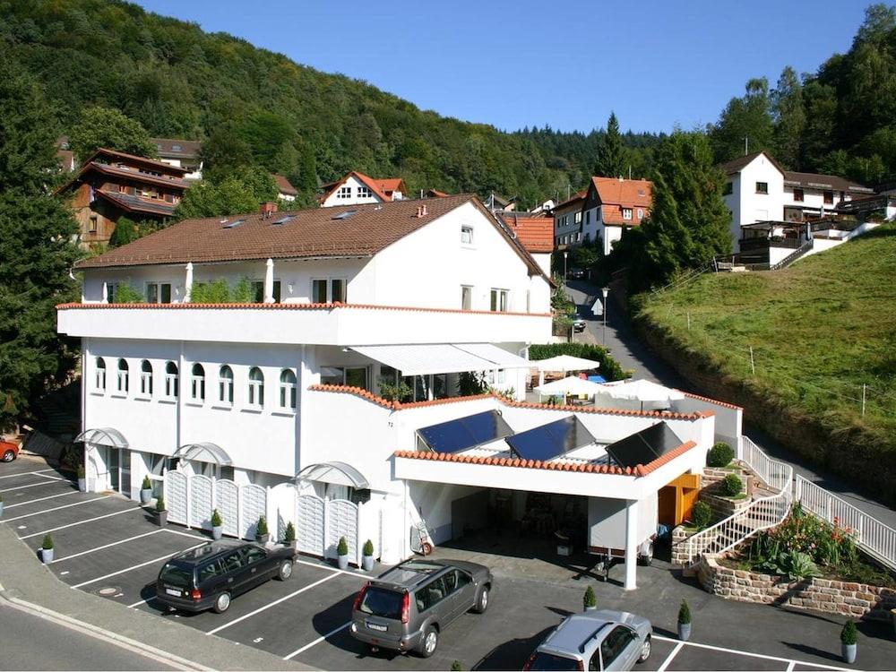 Zum Lowen Heidelberg