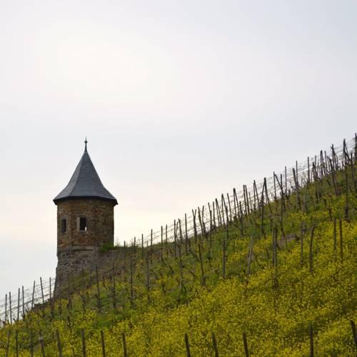 Weinhaus Hoff