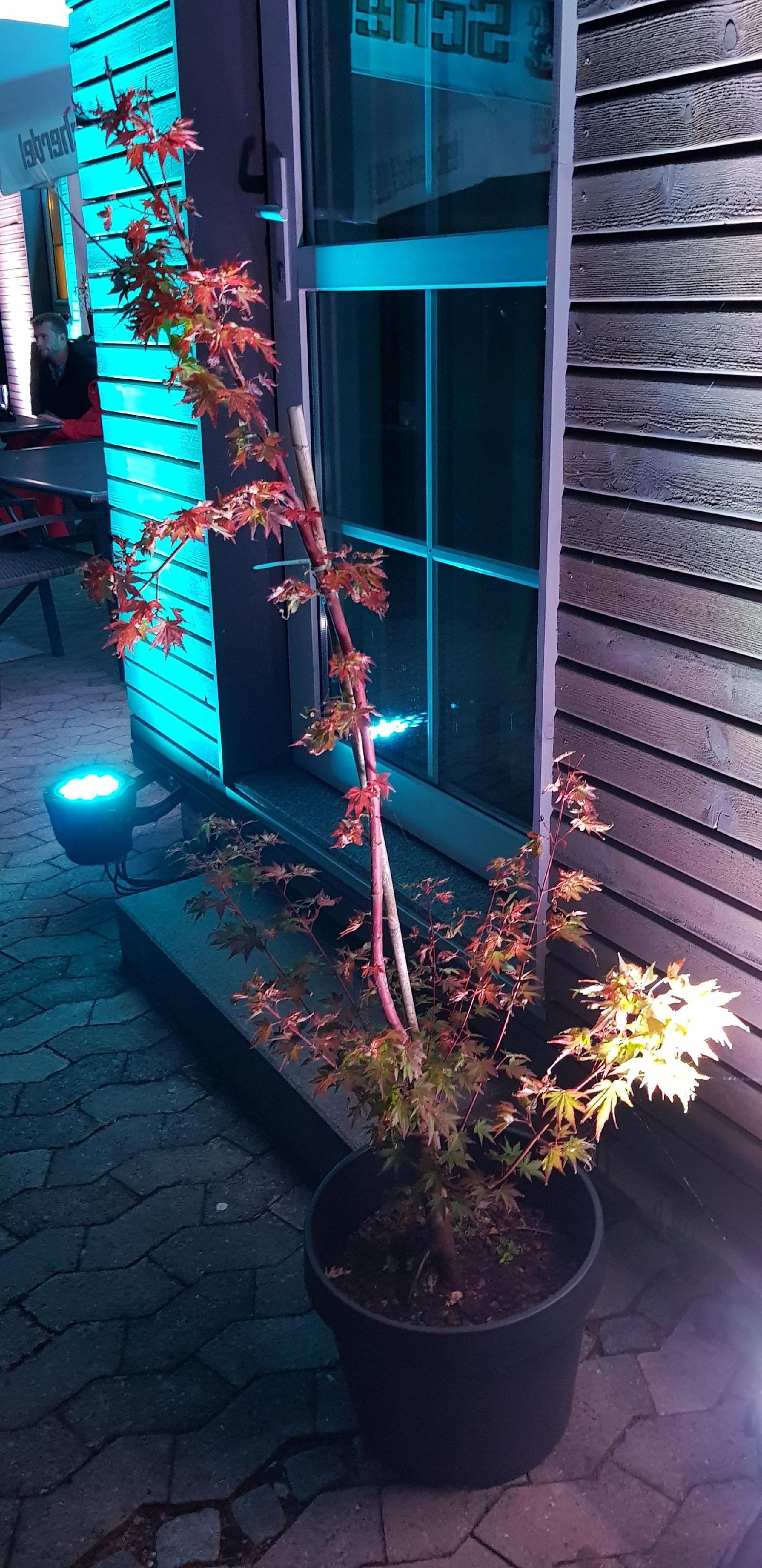 Hotel Am Untreusee