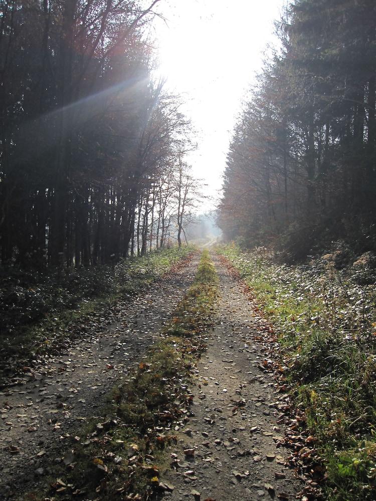Landgasthof Geiersmuhle
