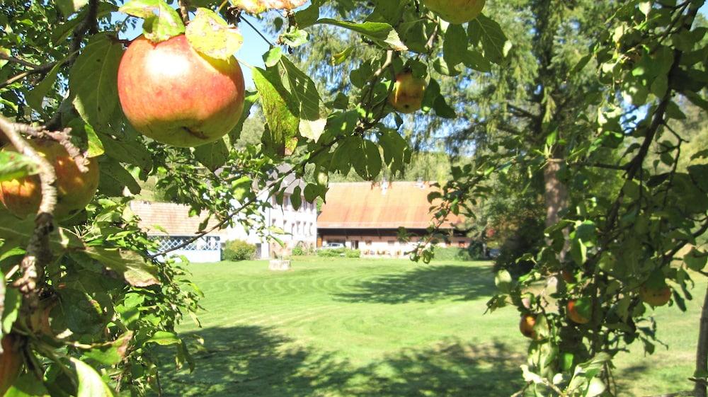 Landgasthof Geiersmuhle