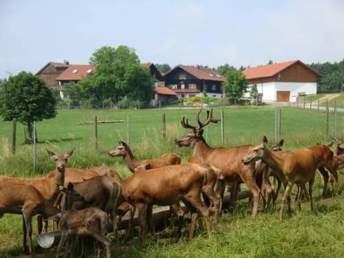 Giglerhof