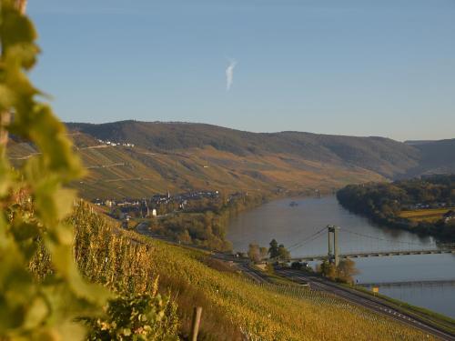 Weingut S.A. Prum & Gästehaus