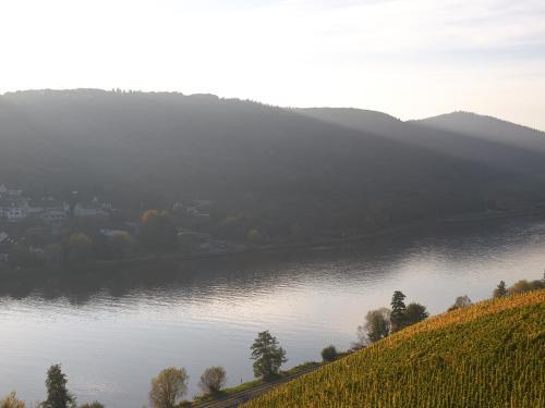 Weingut S.A. Prum & Gästehaus