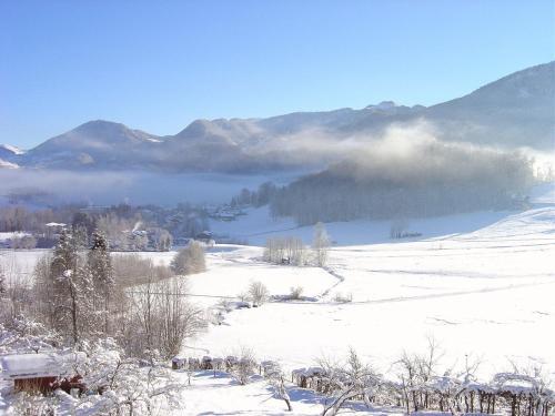 Rostalm