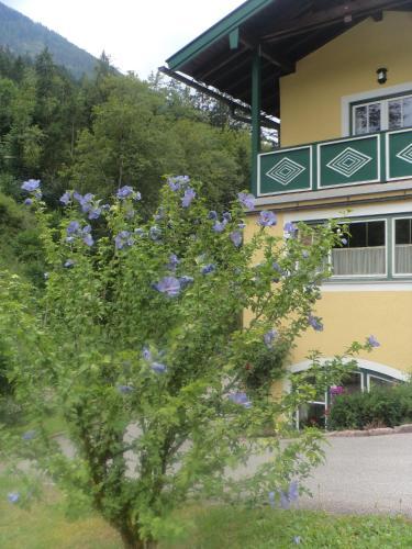 Gastehaus Martinsklause