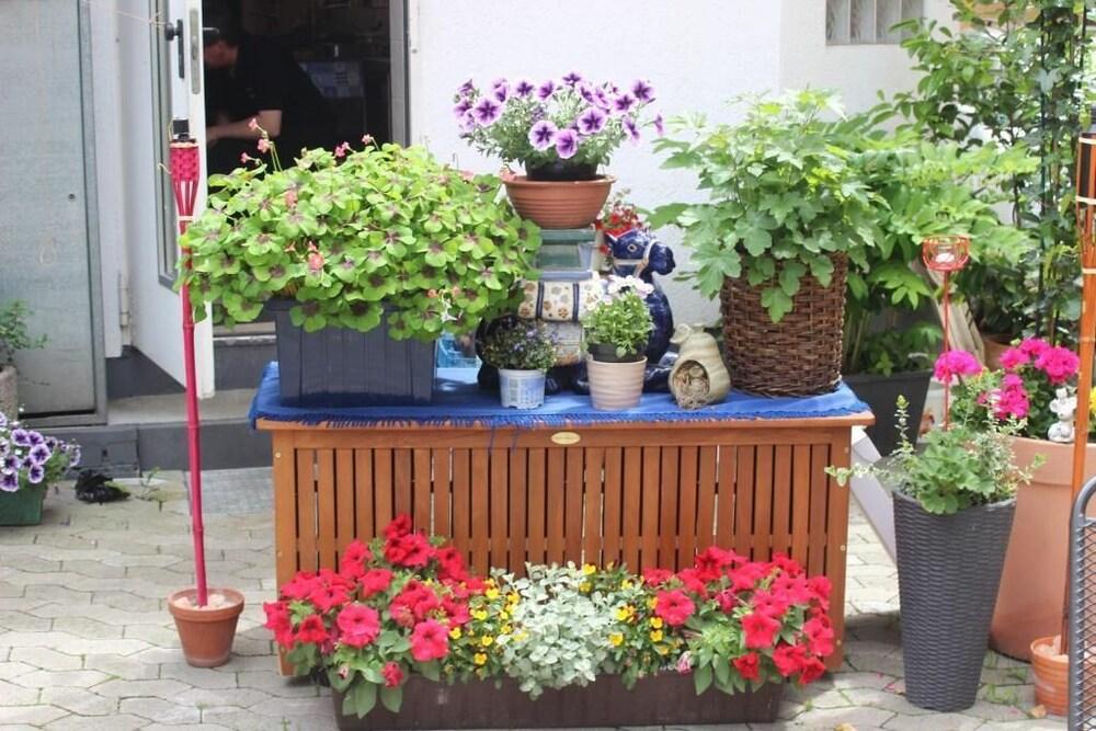 Restaurant & Pension Mainzer Tor