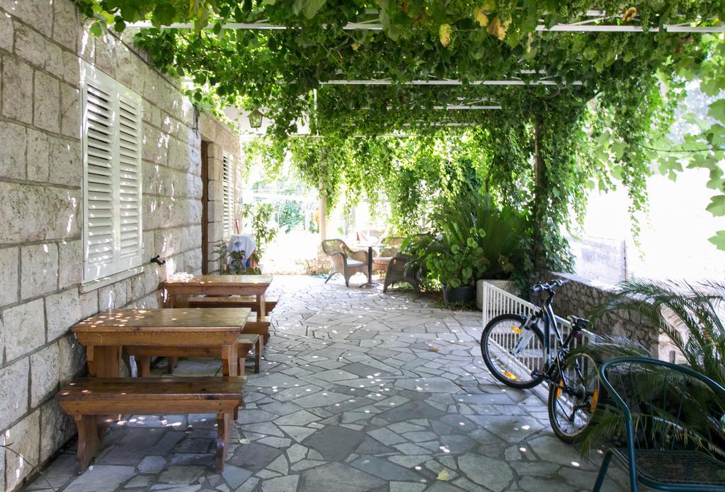 Guest House Zec