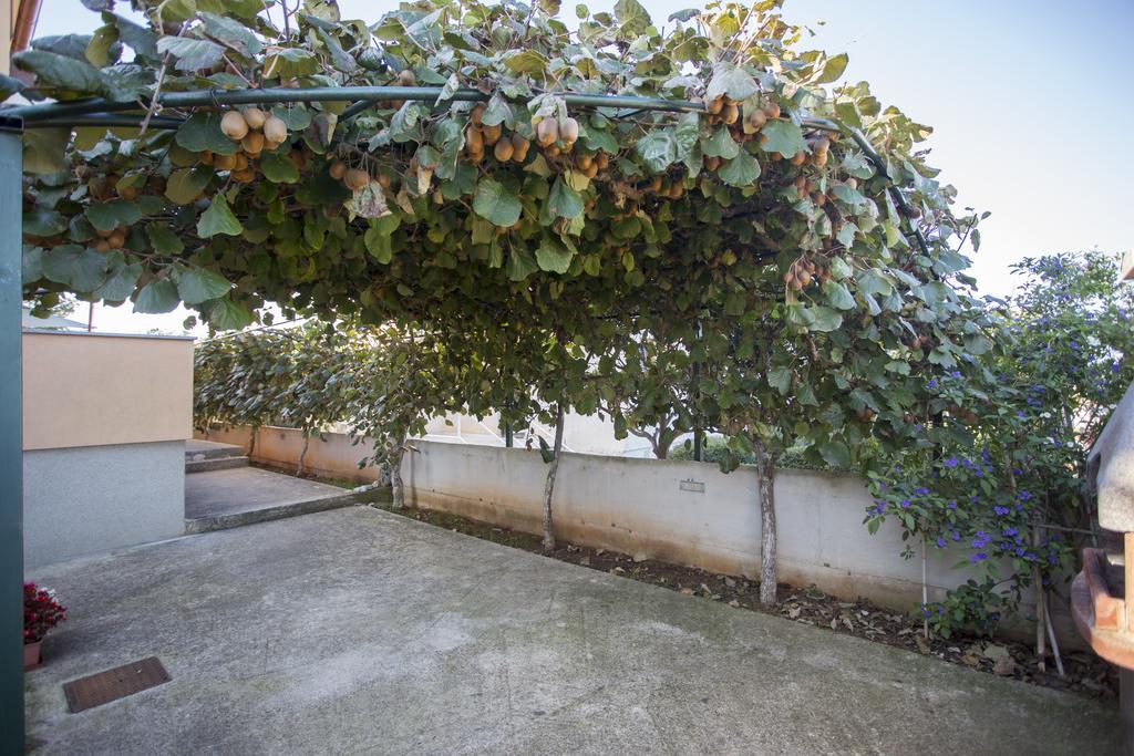 Apartments Marinkovic