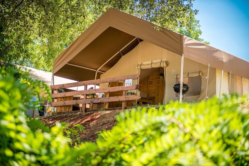 Sunflower Camping