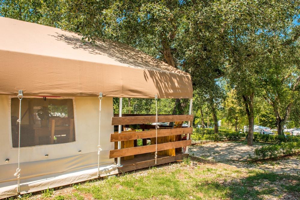 Sunflower Camping