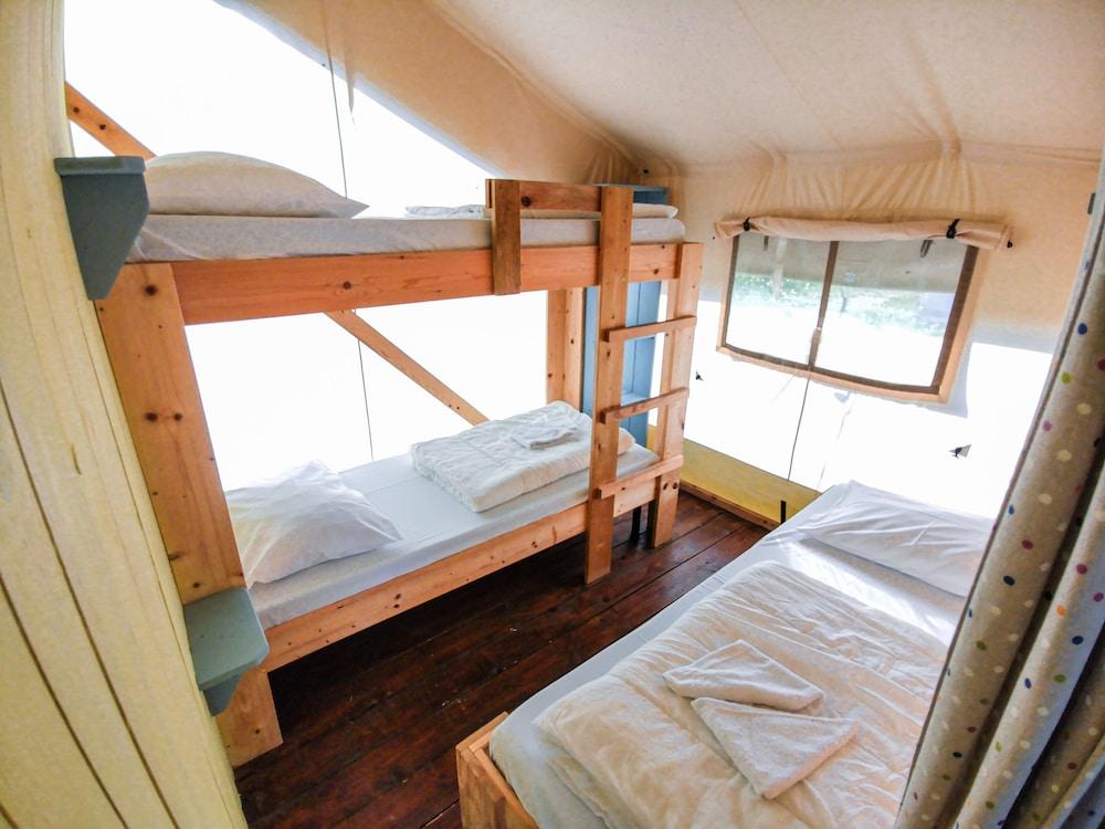 Sunflower Camping