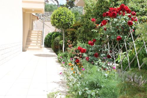 Apartments Mareblu