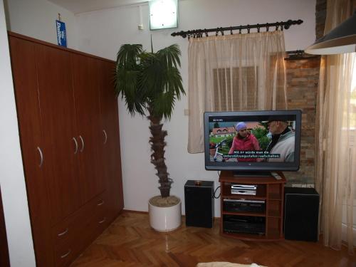 Villa Dalibor