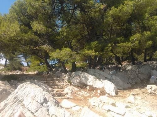 Apartments Jerine
