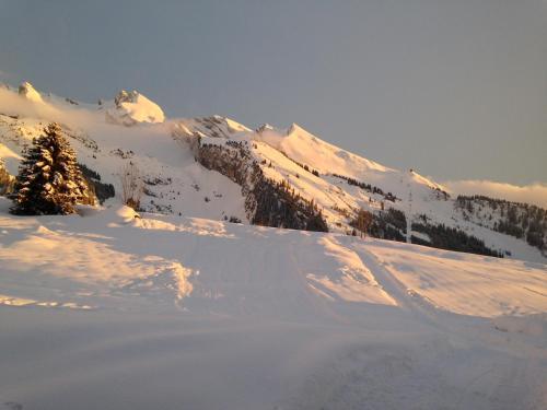Chalet Hotel Inarpa & Resort