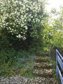 Moulin De Cornevis Bed And Breakfast