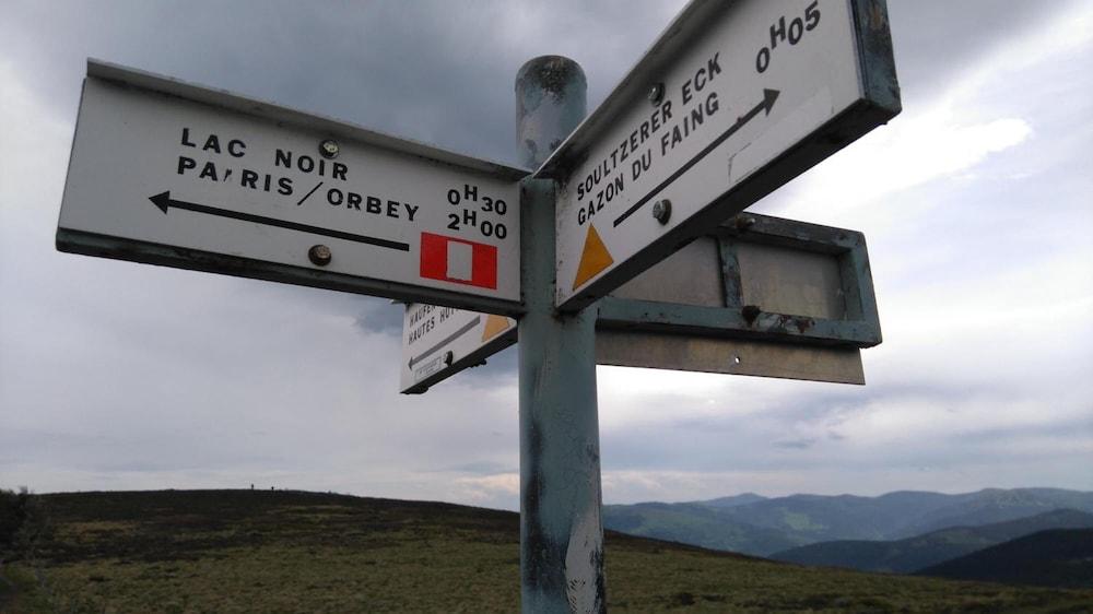VVF Club Intense La Route des Vins d'Alsace Orbey