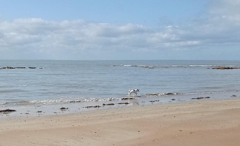 A L'abri Des Vents