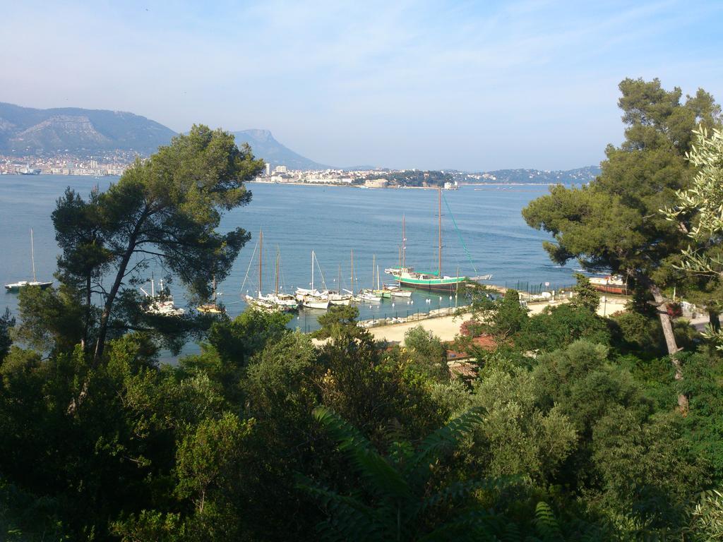 Amadeus Guest House