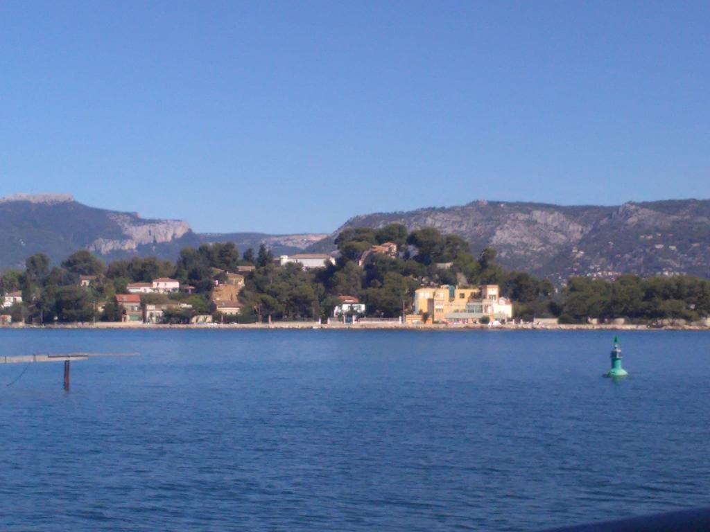 Amadeus Guest House