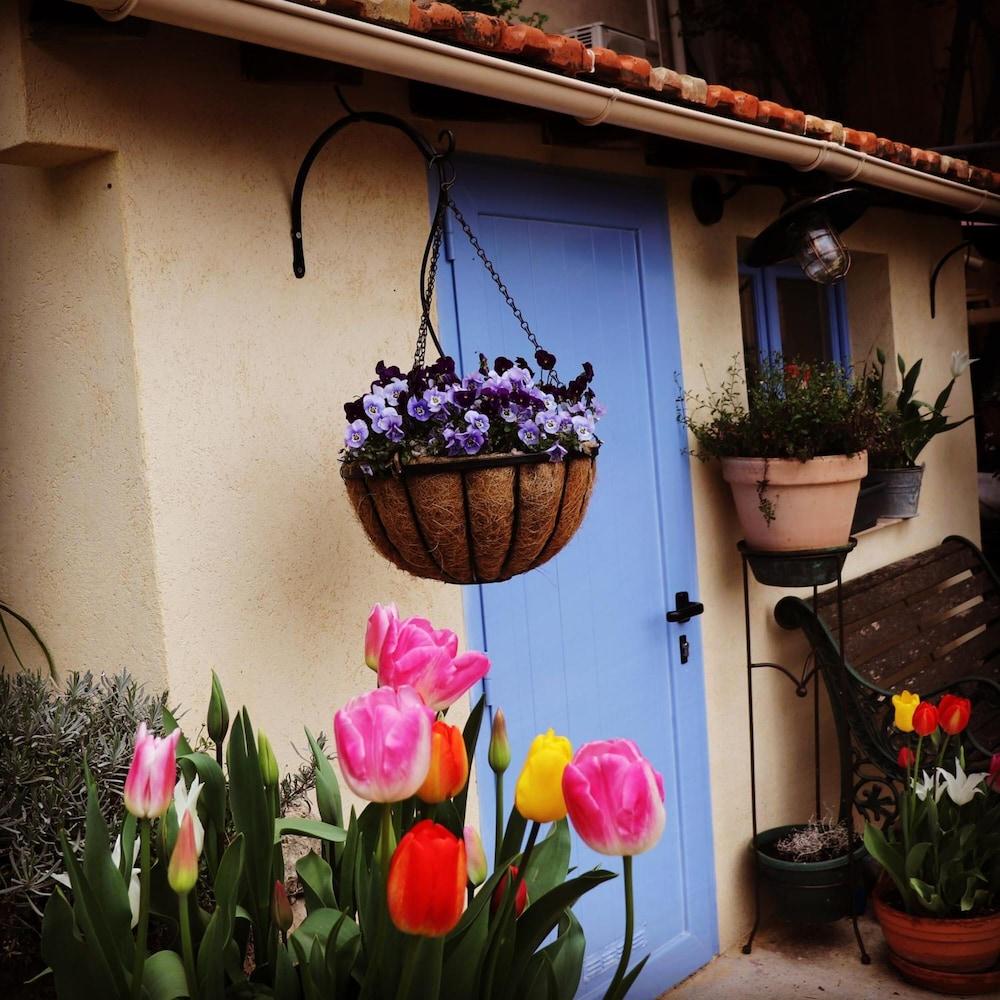 Skylark Bed & Breakfast