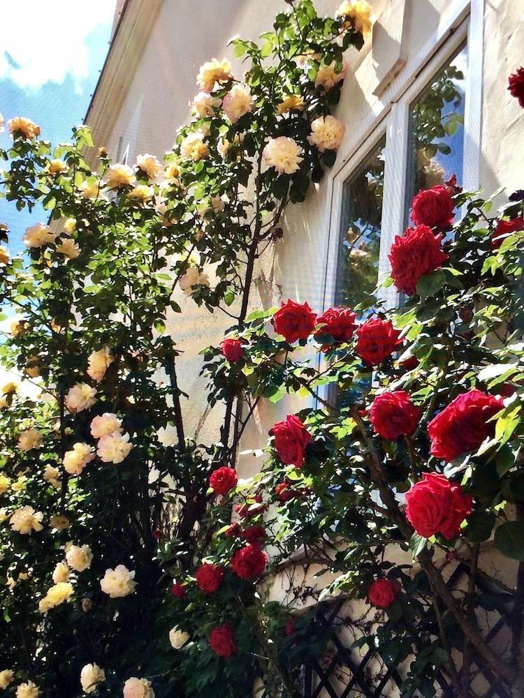 Manoir Du Parc