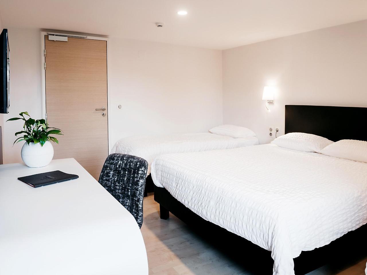 Hotel Au Lion Rouge