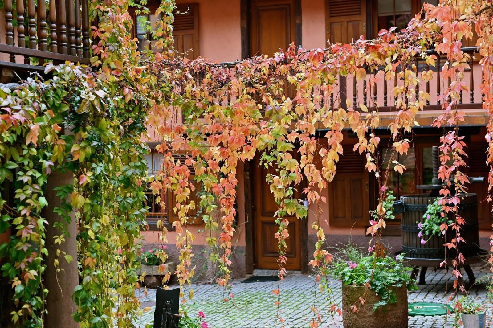 Hotel de l'Ange