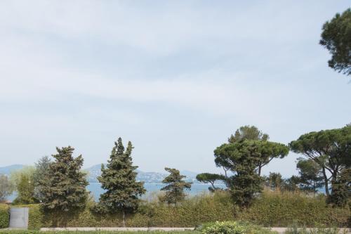 Hotel Brin d'Azur