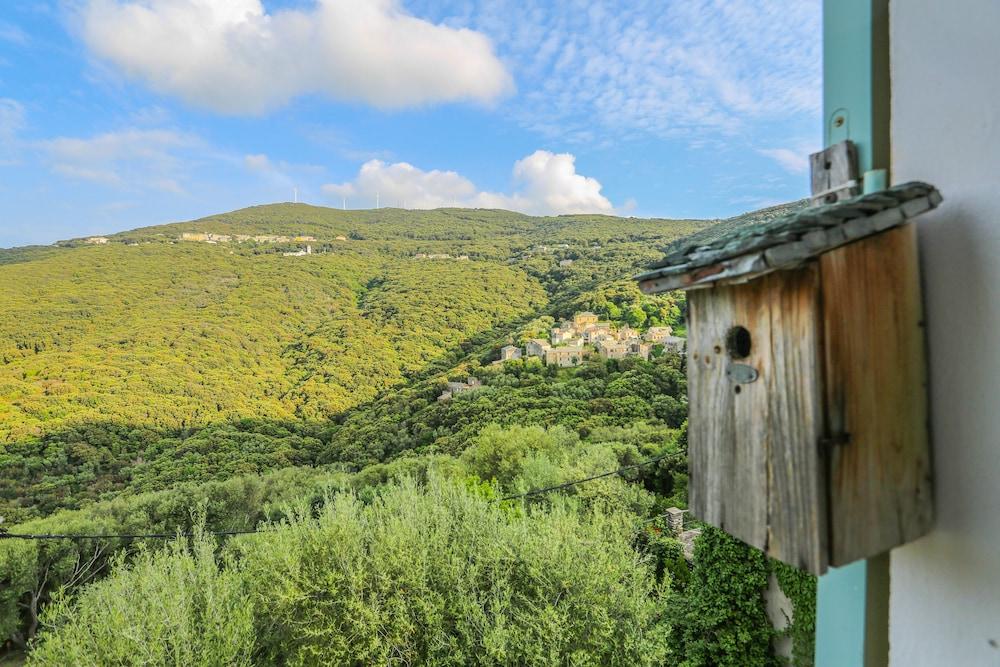 Latu Corsu Cote Corse Chambres D'Hotes