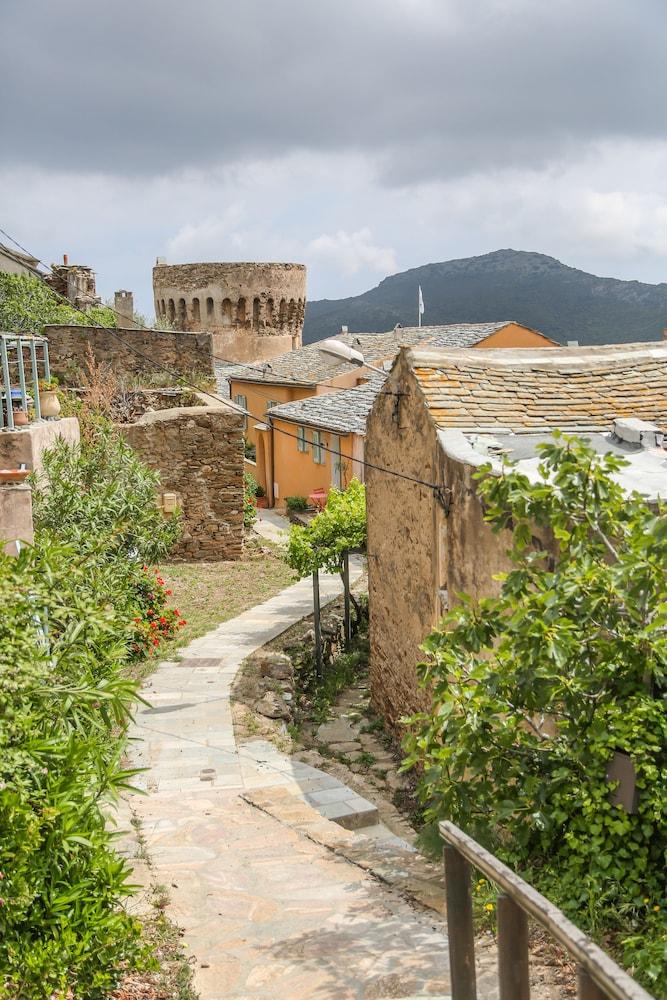 Latu Corsu Cote Corse Chambres D'Hotes
