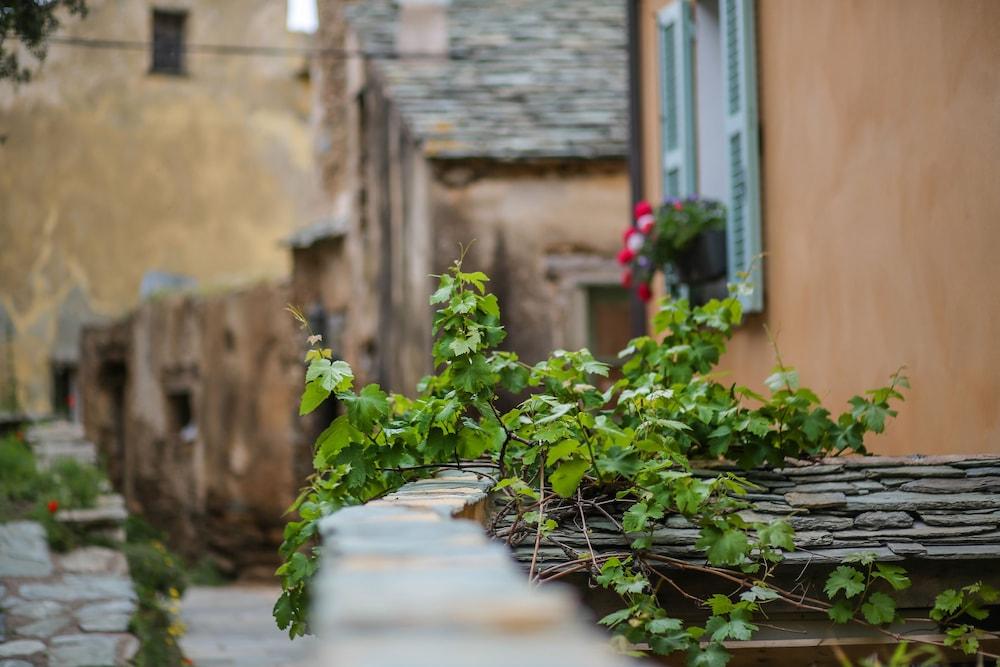 Latu Corsu Cote Corse Chambres D'Hotes