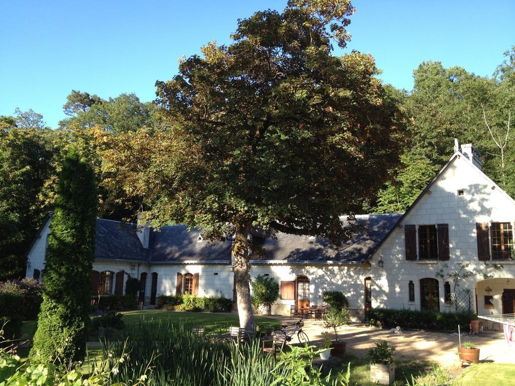 Domaine de Joreau