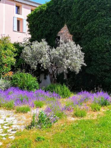 La Bastide Des Monges