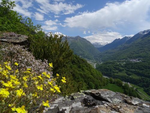 Hotel la Montagne Fleurie