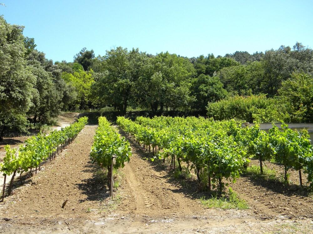 Gite La Bastide Jourdan
