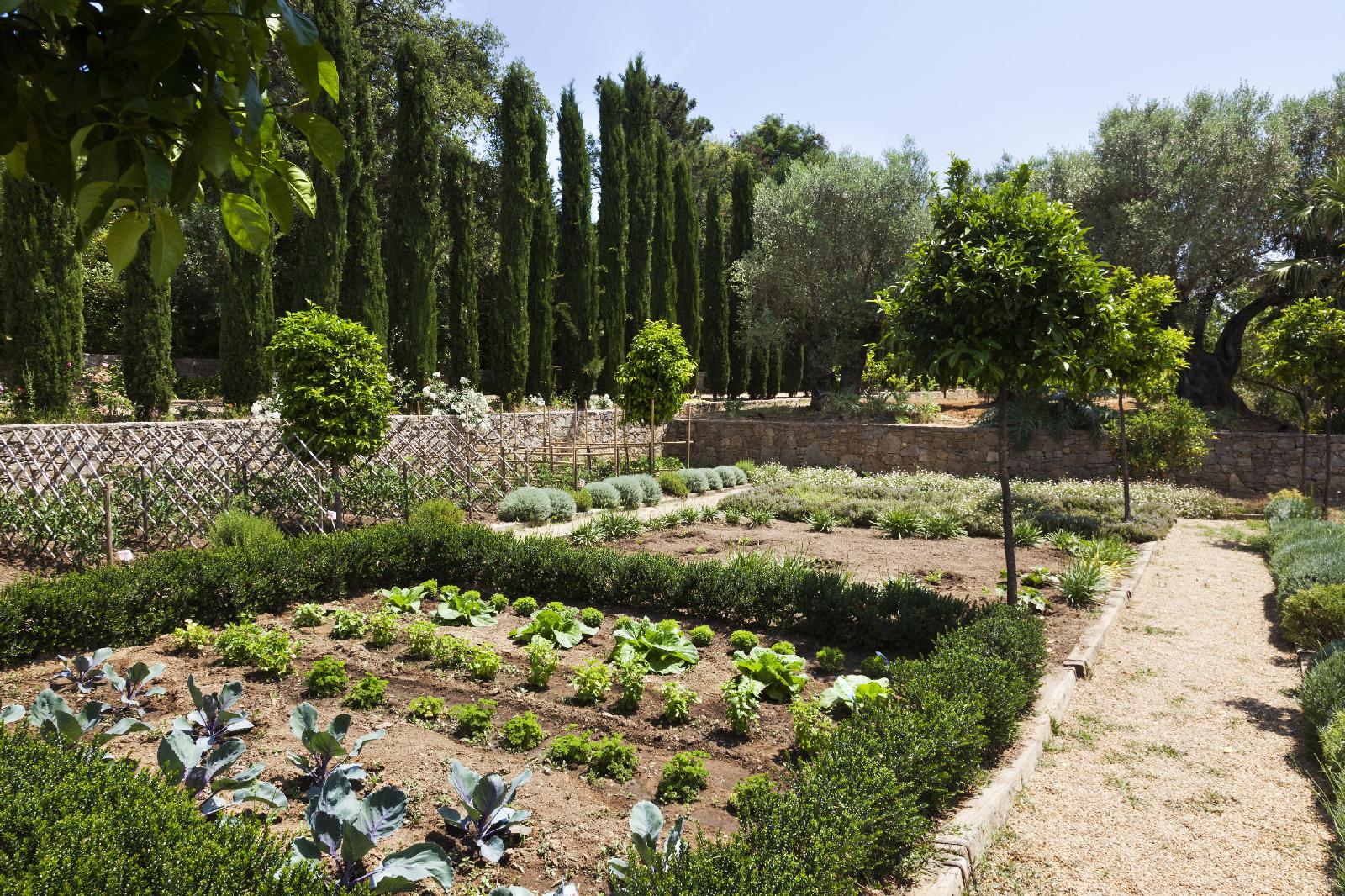 Domaine Les Mesanges
