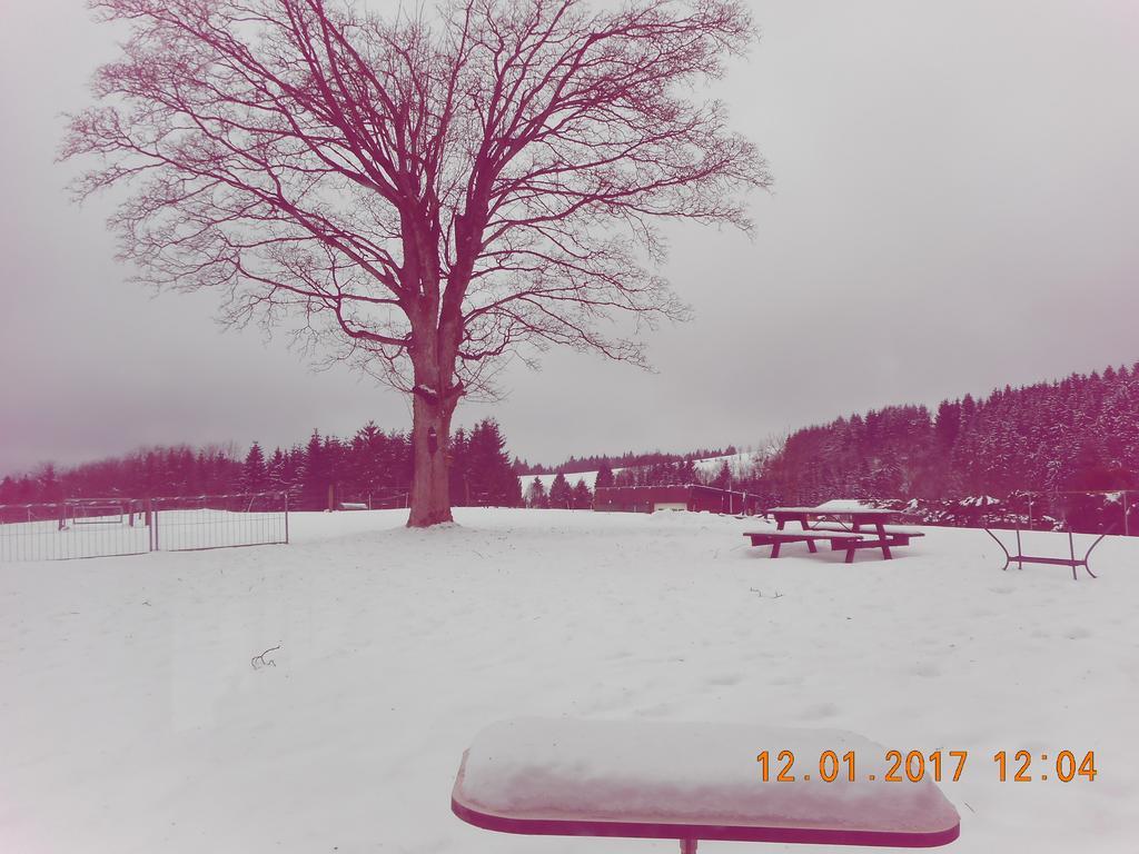 Bed and Breakfast All Seasons