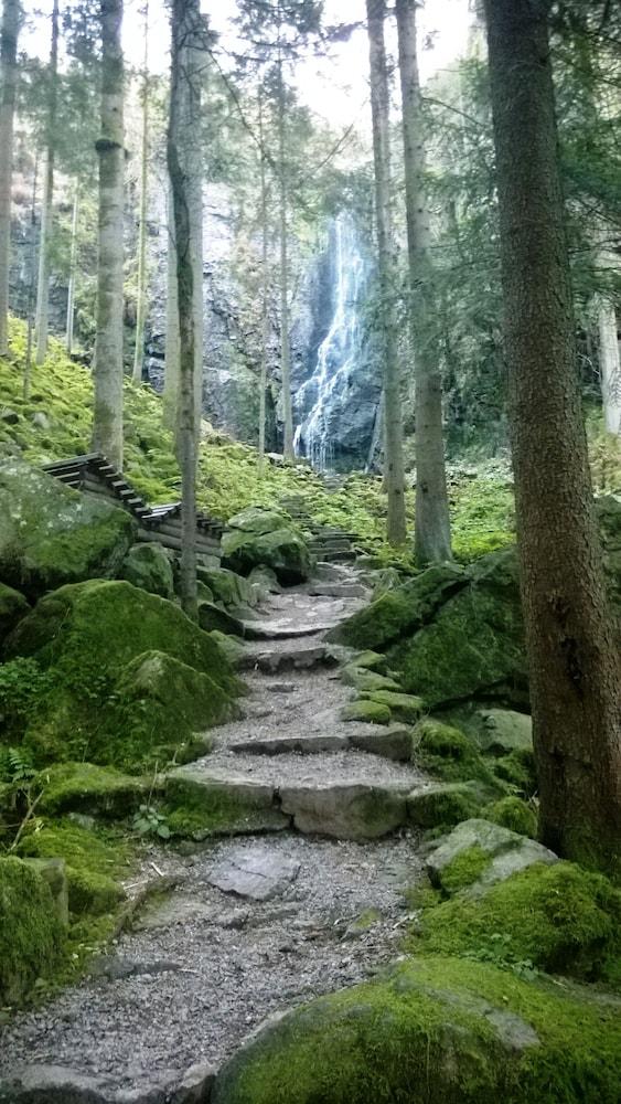 Schwarzwaldgasthof Klosterle Hof