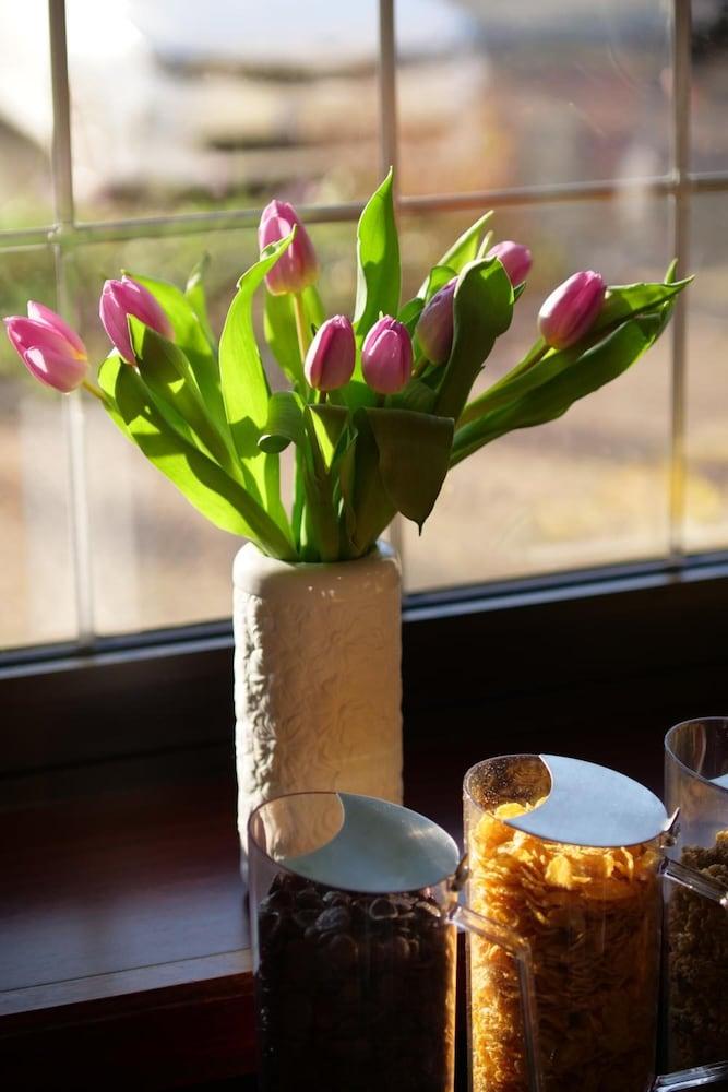 Parkhotel Bergheim Hotel & Boardinghouse