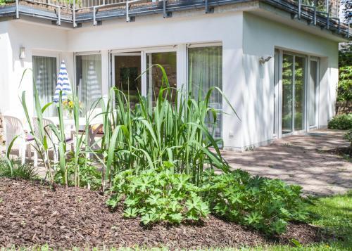Landhaus Wiesemann - Parkappartements
