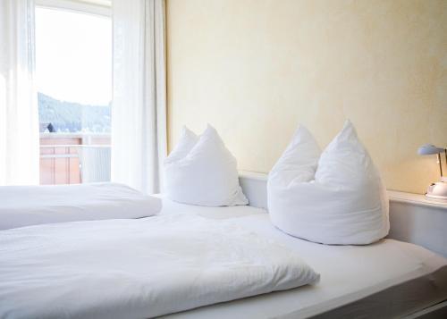 Landhaus Wiesemann - Parkappartements